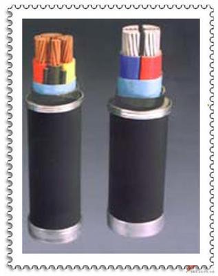 深度解析 銅芯交聯(lián)聚乙烯絕緣聚乙烯護(hù)套電力電纜YJV